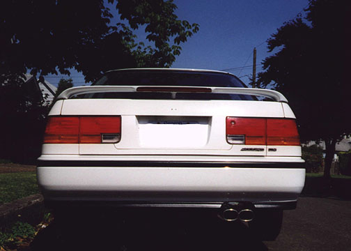 tail.jpg (39658 bytes)